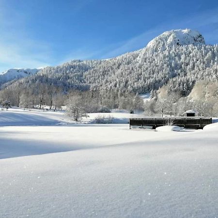 Chalet Des Cascades ル・モンドール エクステリア 写真