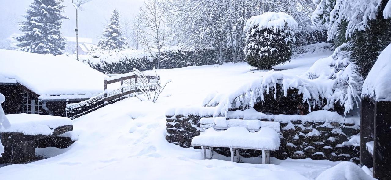 Chalet Des Cascades ル・モンドール エクステリア 写真