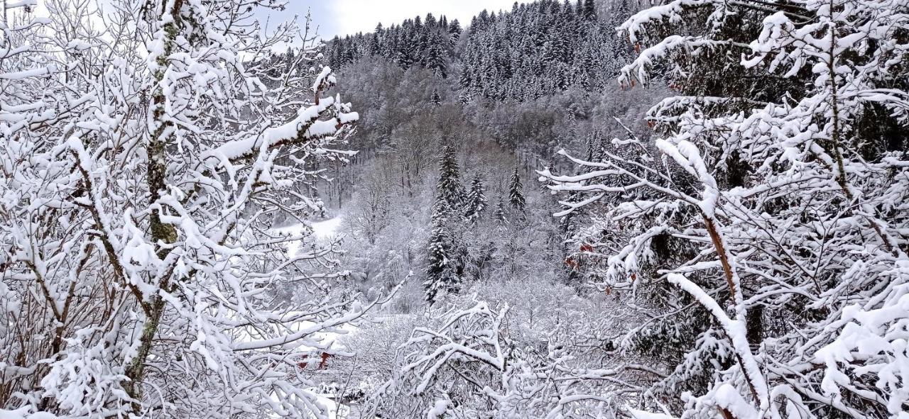 Chalet Des Cascades ル・モンドール エクステリア 写真