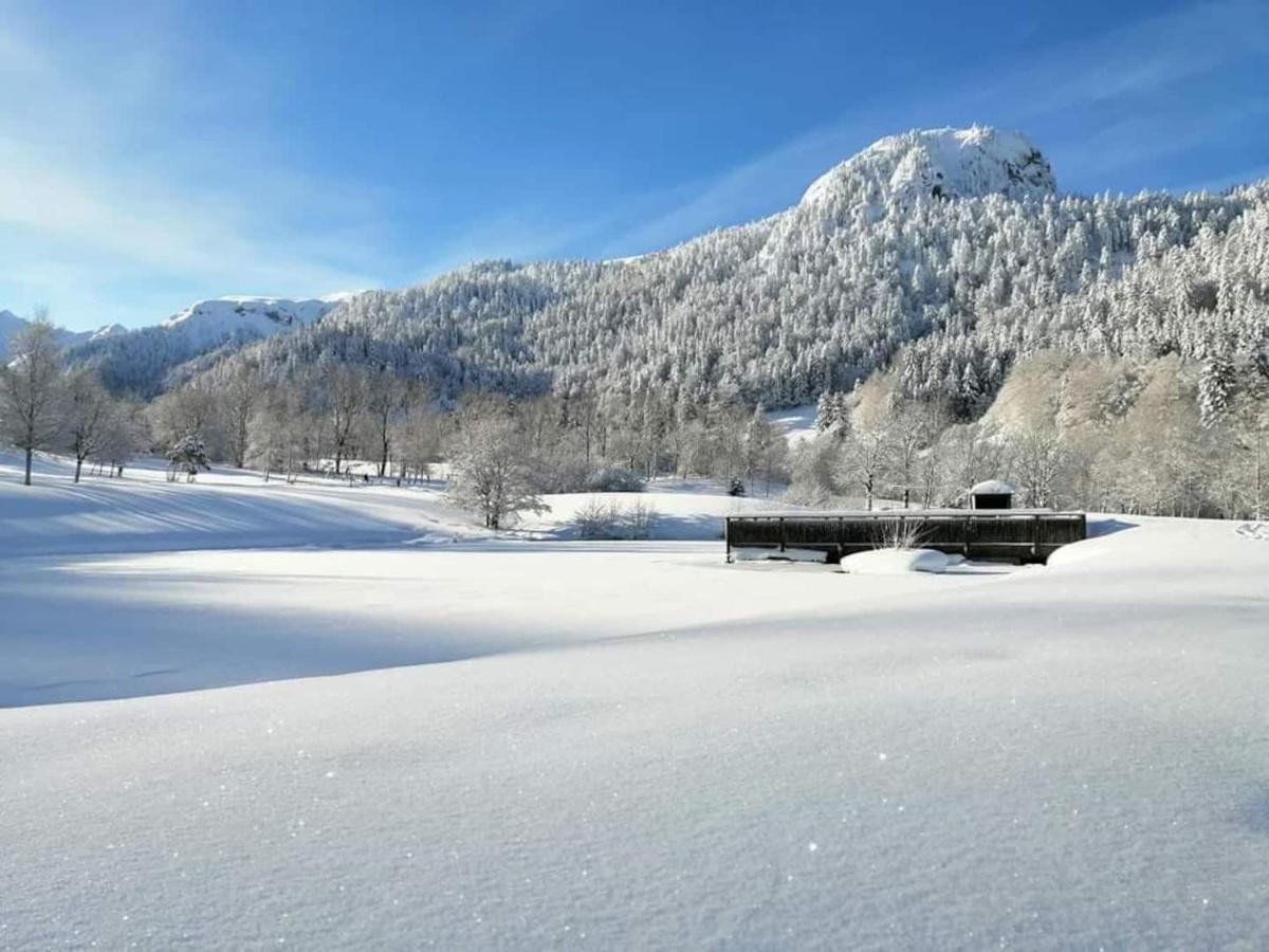 Chalet Des Cascades ル・モンドール エクステリア 写真