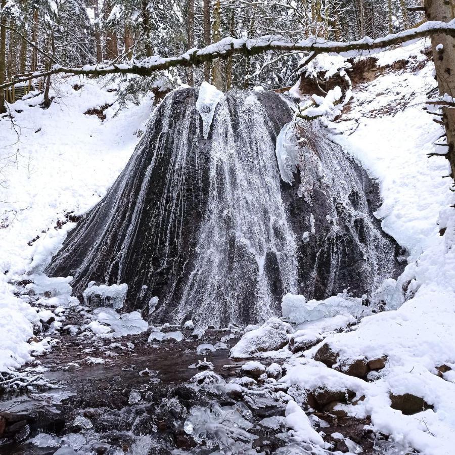 Chalet Des Cascades ル・モンドール エクステリア 写真
